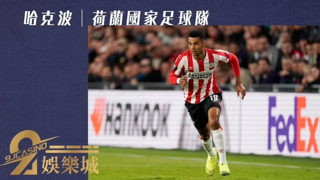 哈克波│荷蘭國家足球隊