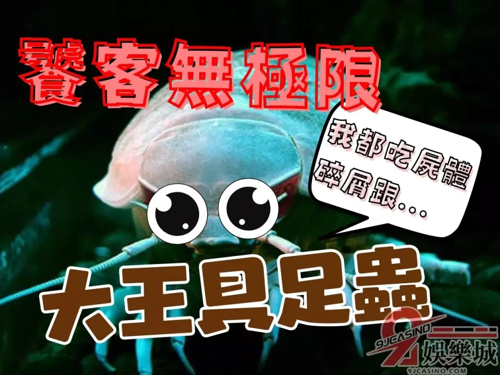 具足蟲可以吃嗎  具足蟲好吃嗎  大王具足蟲料理