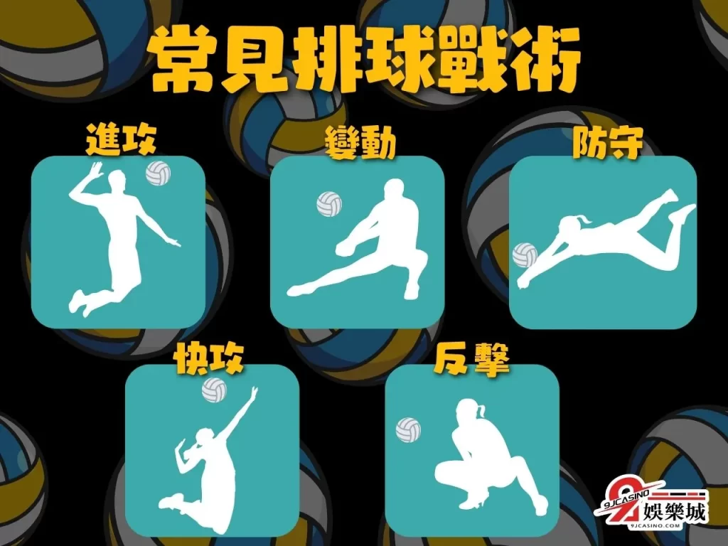 排球戰術 排球規則教學 排球自由人 排球站位
